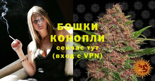 Альфа ПВП Нягань