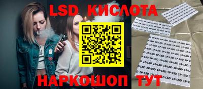 кокс Кингисепп