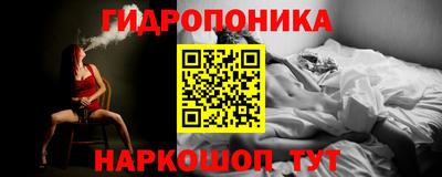 кокс Кингисепп