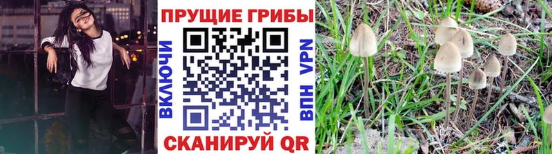 МЕГА вход Рязань Псилоцибиновые грибы Psilocybe