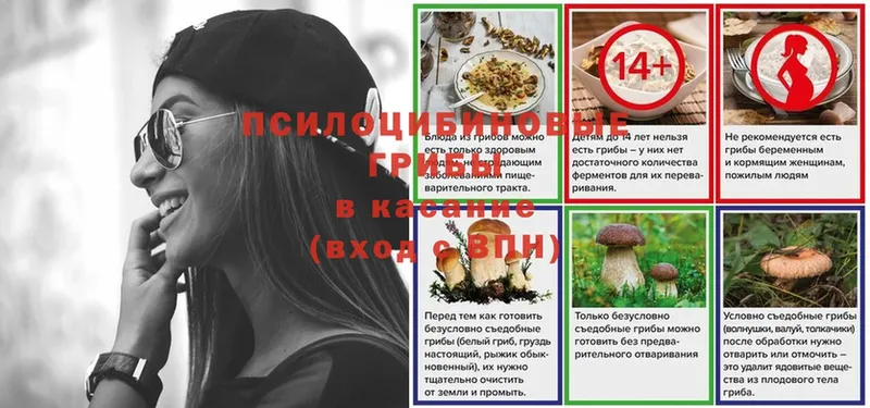 цены   Рязань  Галлюциногенные грибы ЛСД 