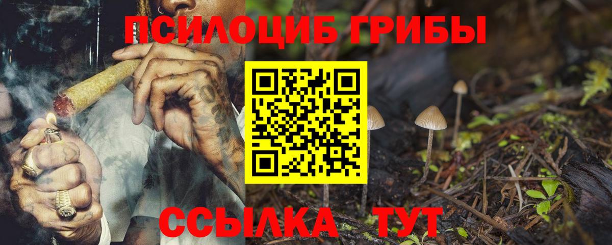 Галлюциногенные грибы GOLDEN TEACHER Рязань