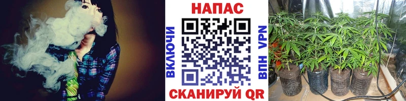 Шишки марихуана Amnesia Рязань